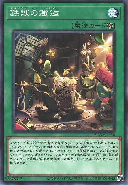 Tri-Brigade Rendezvous - Normal - BLVO-JP056